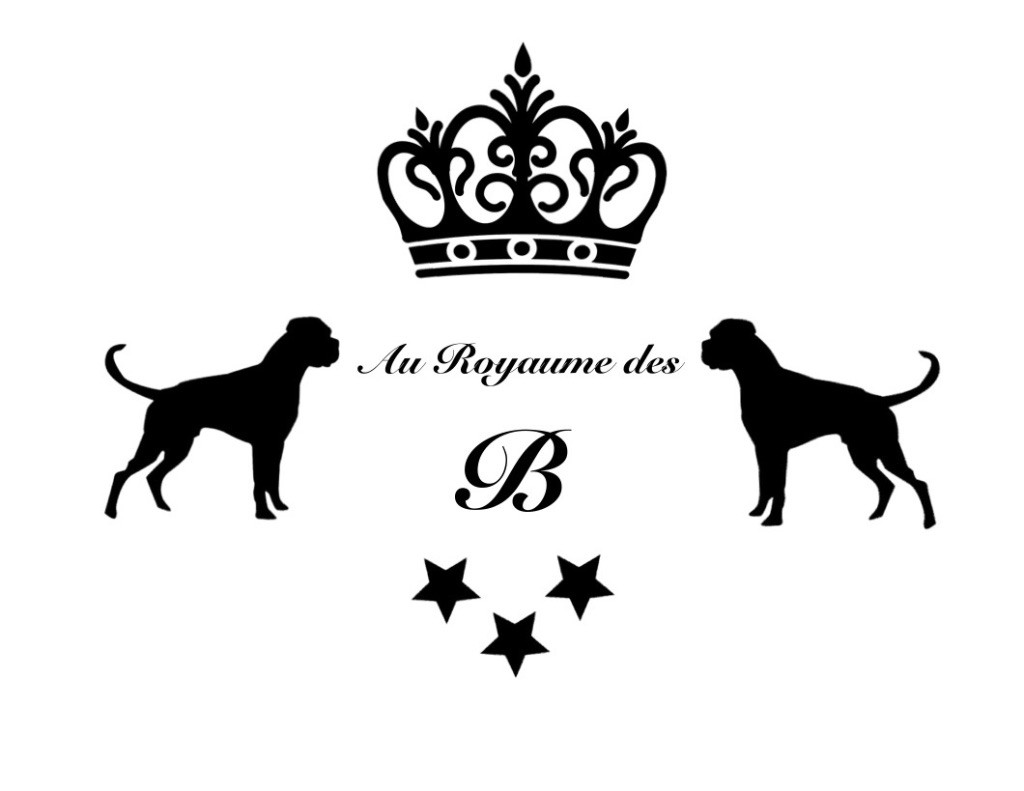 Au Royaume Des B - Au royaume des B
